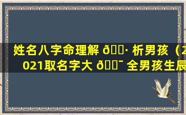 姓名八字命理解 🕷 析男孩（2021取名字大 🐯 全男孩生辰八字起名）